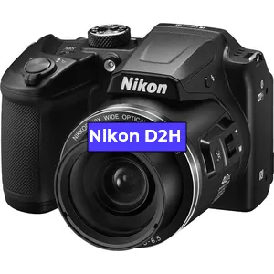 Ремонт фотоаппарата Nikon D2H в Екатеринбурге